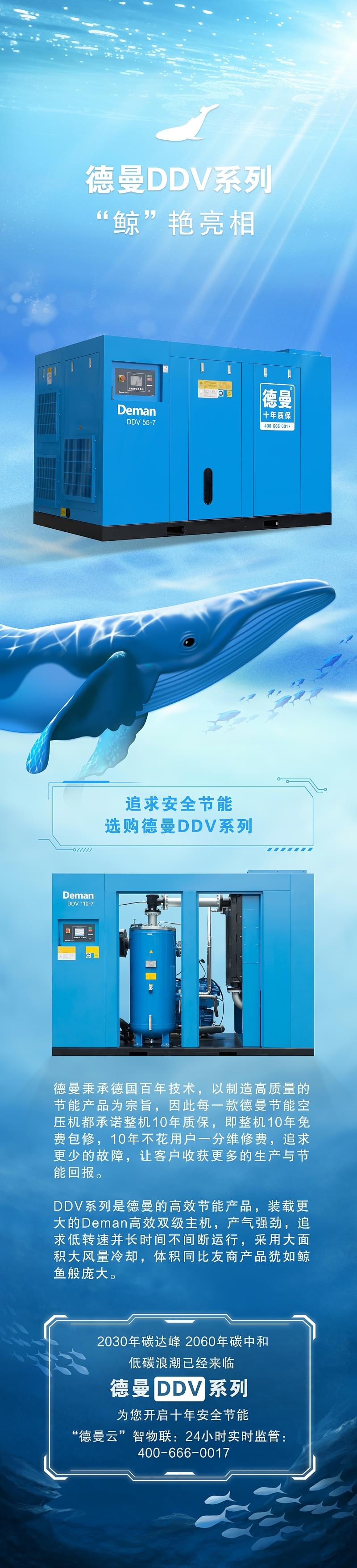 妖精视频无码WWW免费看DDV係列節能妖精视频一区二区三区